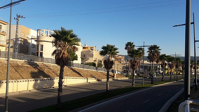 Ciudadanos Alcantarilla denuncia el deficiente estado de mantenimiento del arbolado del municipio - 1, Foto 1