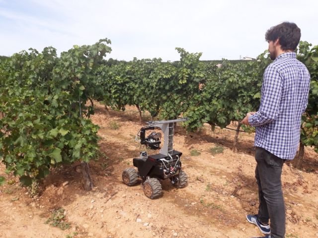 AINIA desarrollará nueva tecnología para mejorar control de plagas en cultivos, en tiempo real. - 1, Foto 1