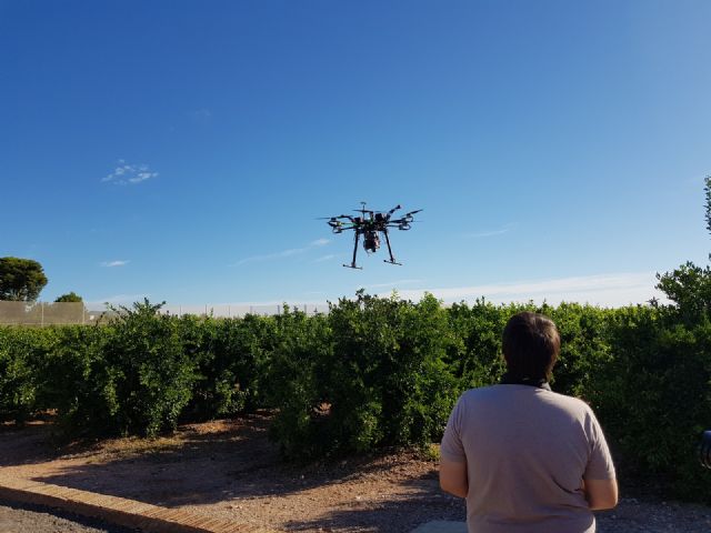 AINIA desarrollará nueva tecnología para mejorar control de plagas en cultivos, en tiempo real. - 2, Foto 2