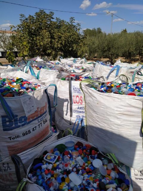 D´Genes recoge dos toneladas y media de tapones en el marco de la campaña solidaria llevada a cabo en Lorca - 3, Foto 3