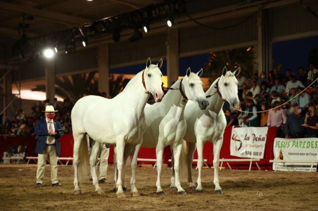 Fericab 2021 reúne en Lorca a más de 15.000 aficionados y amantes del caballo de pura raza español - 2, Foto 2