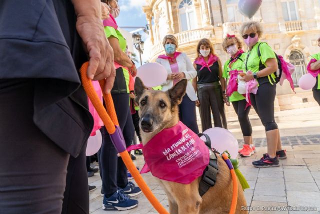 Cartagena se suma al Día del Cáncer de Mama con una ruta saludable - 1, Foto 1