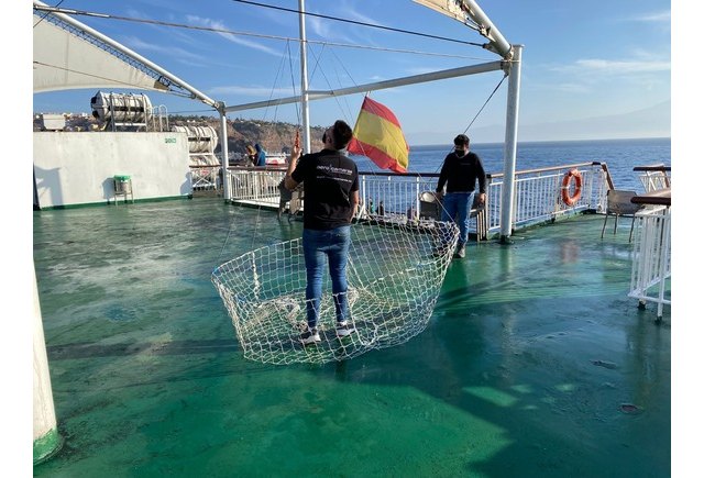 Autorizan el rescate con drones para evacuar a los perros atrapados por lalava en la Palma - 1, Foto 1