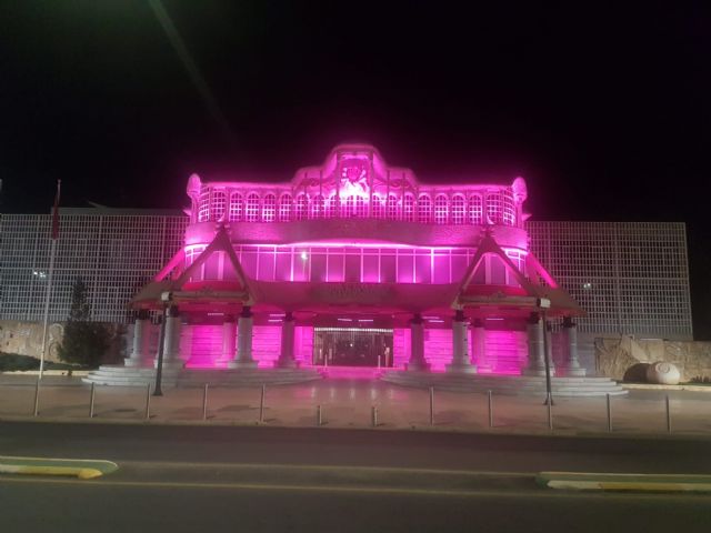 La Asamblea Regional se tiñe de rosa - 1, Foto 1