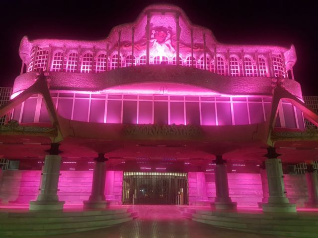 La Asamblea Regional se tiñe de rosa - 2, Foto 2