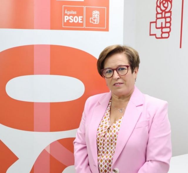 La edil de Educación presentará una moción para que la Consejería dé respuesta a las necesidades en materia de infraestructura de los centros educativos - 1, Foto 1