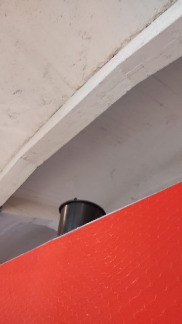 El PSOE denuncia el abandono de los museos municipales de Murcia y reclama al Gobierno local un plan urgente de actuación - 1, Foto 1