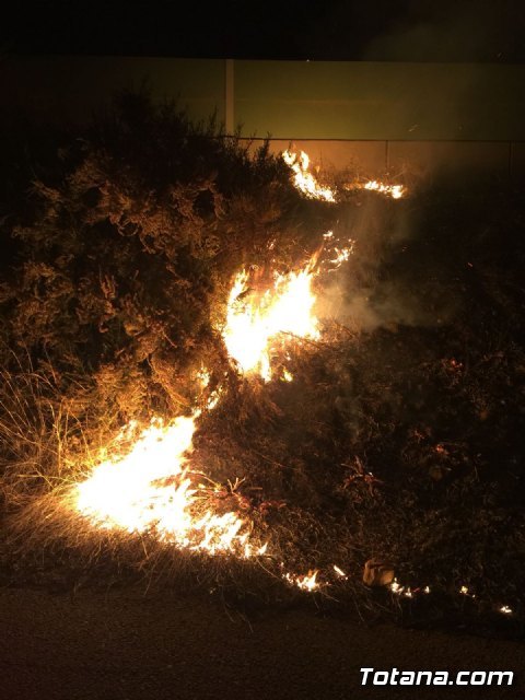 Bomberos y Policía Local de Totana sofocan un incendió junto a la Variante Norte en la zona de La Costera, Foto 3