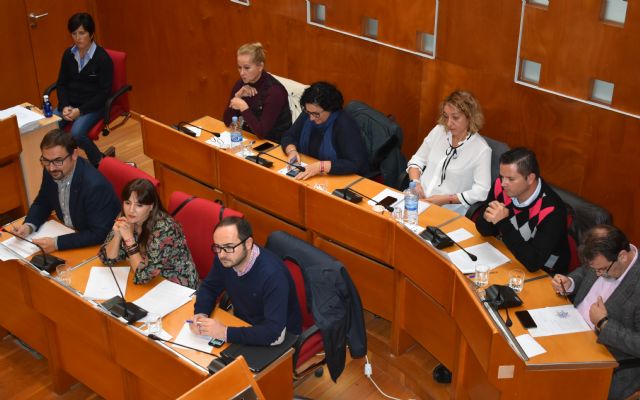 El PSOE logra el acuerdo de todos los partidos en el Pleno para exigir al Gobierno Regional (PP) el fin de la discriminación que mantiene hacia Lorca en Sanidad - 1, Foto 1