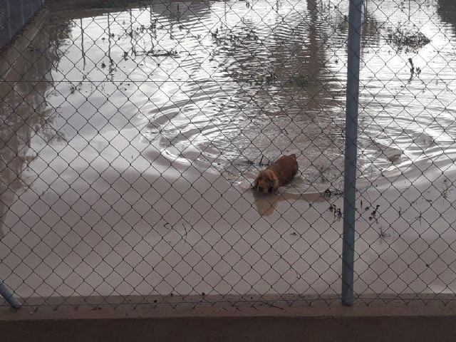 IU-Verdes pide al Ayuntamiento que defienda la seguridad de los vecinos afectados por las inundaciones - 1, Foto 1