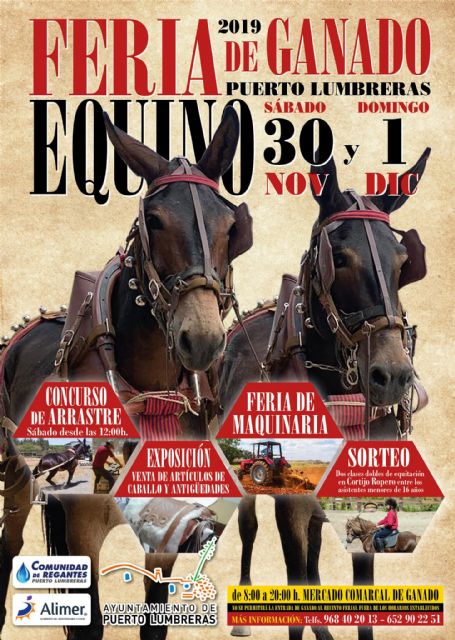 Llega una nueva edición de la tradicional Feria de Ganado Equino de Puerto Lumbreras - 3, Foto 3