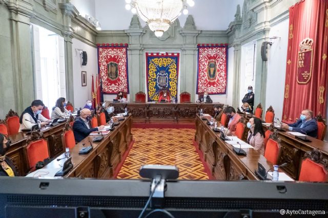 El pleno aprueba destinar dos millones del remanente a combatir los efectos sociales y económicos del Covid-19 - 1, Foto 1