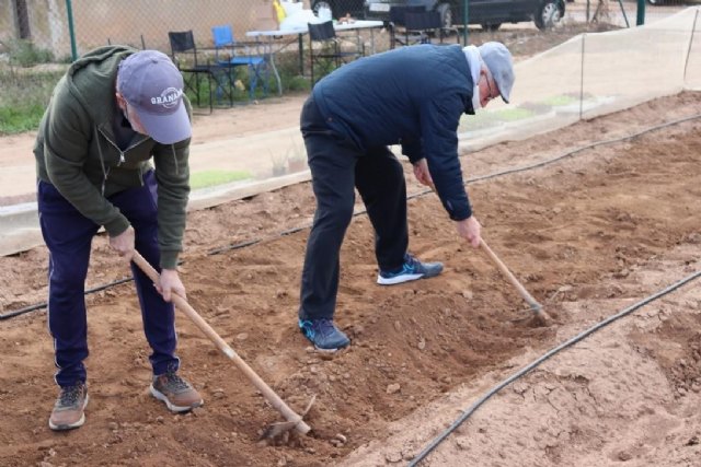 Generar recuerdos en los huertos de la UPCT - 1, Foto 1