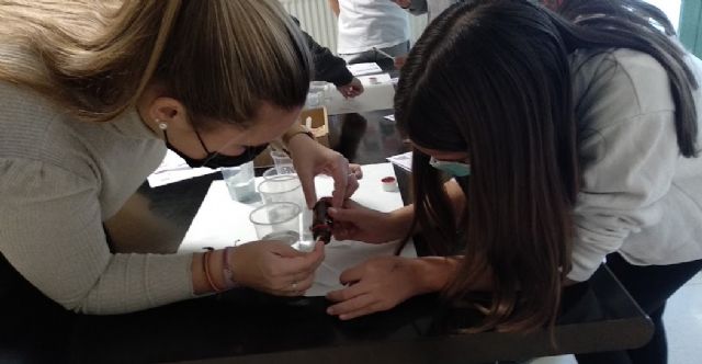 Seiscientos escolares pasarán por la Facultad de Educación de la UMU este curso para conocer 'el cole de sus maestros' - 3, Foto 3