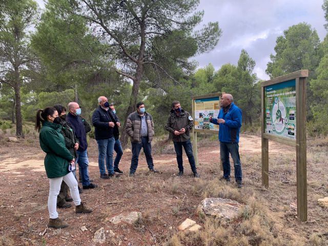 La Comunidad realiza trabajos selvícolas en la Sierra de la Pilar para prevenir los incendios y combatir el cambio climático - 1, Foto 1