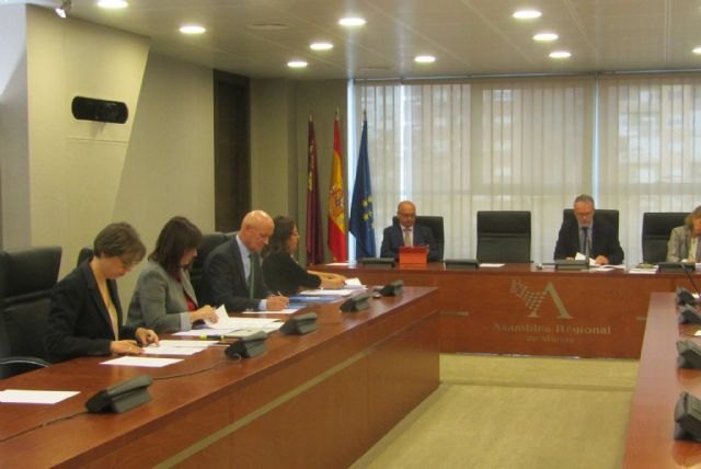 Isabel Soler: PSOE y Podemos vuelven a mostrar con las enmiendas su escaso conocimiento del presupuesto - 1, Foto 1