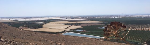 El uso del Mar Menor como arma electoral - 1, Foto 1