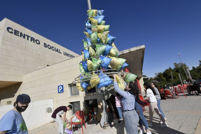 La UMU instala dos árboles de Navidad fabricados con las bolsas de plástico recogidas en una campaña de concienciación ambiental - 1, Foto 1
