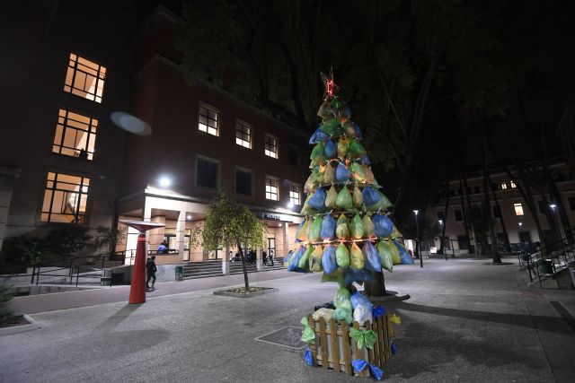 La UMU instala dos árboles de Navidad fabricados con las bolsas de plástico recogidas en una campaña de concienciación ambiental - 2, Foto 2