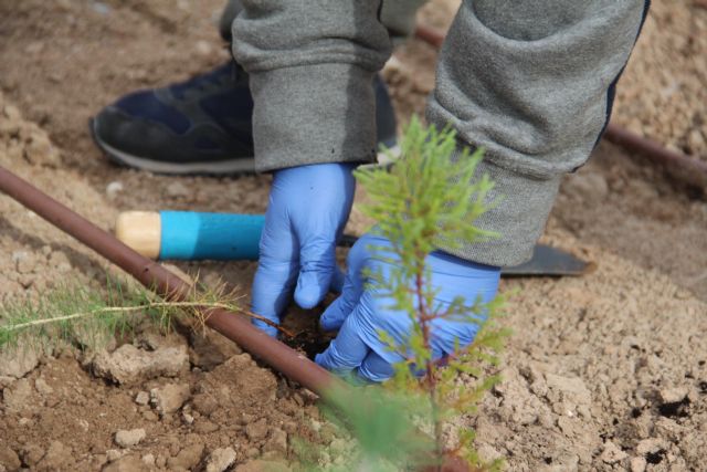 Usuarios de Astrapace participan hoy en la plantación de nuevo arbolado en Terra Natura dentro del Plan Foresta - 2, Foto 2