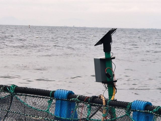 Murcia lidera el proyecto europeo de control inteligente SICA de alimentación en granjas de acuicultura que logra más eficiencia económica y sostenibilidad medioambiental - 2, Foto 2