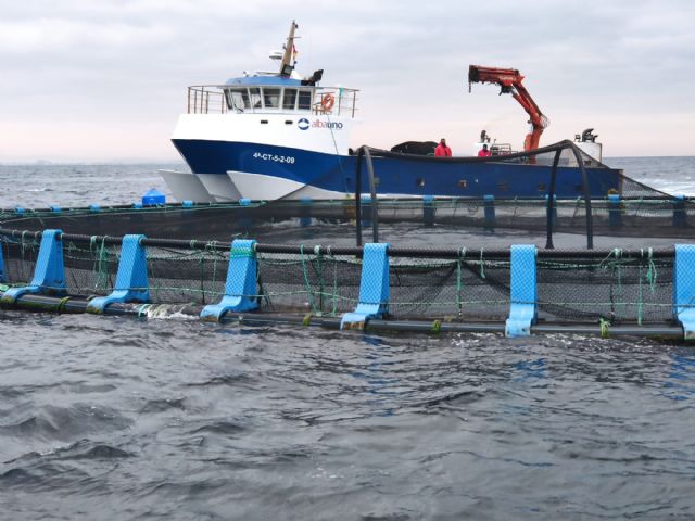 Murcia lidera el proyecto europeo de control inteligente SICA de alimentación en granjas de acuicultura que logra más eficiencia económica y sostenibilidad medioambiental - 4, Foto 4