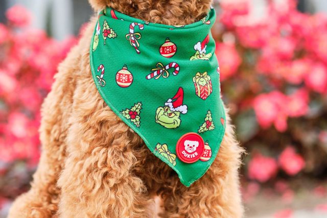 Dukier, la startup espa&ntilde;ola que dise&ntilde;a accesorios fashion para mascotas - 4, Foto 4