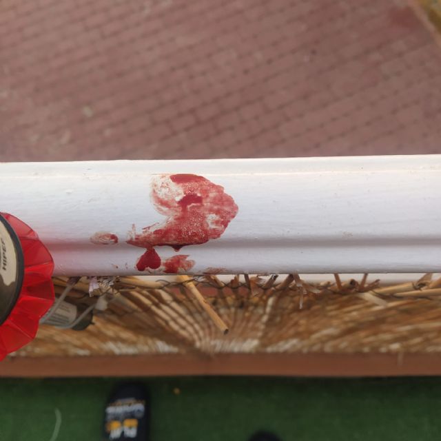 Roban en otros dos bares, el complejo deportivo Felipe VI, una vivienda familiar, la ornamentación navideña en Santa María y un local del centro de la ciudad - 1, Foto 1