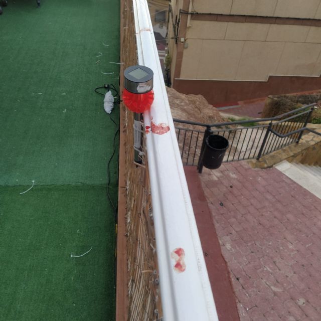 Roban en otros dos bares, el complejo deportivo Felipe VI, una vivienda familiar, la ornamentación navideña en Santa María y un local del centro de la ciudad - 2, Foto 2