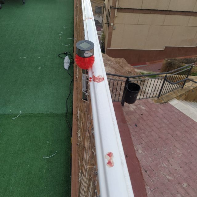 Roban en otros dos bares, el complejo deportivo Felipe VI, una vivienda familiar, la ornamentación navideña en Santa María y un local del centro de la ciudad - 3, Foto 3