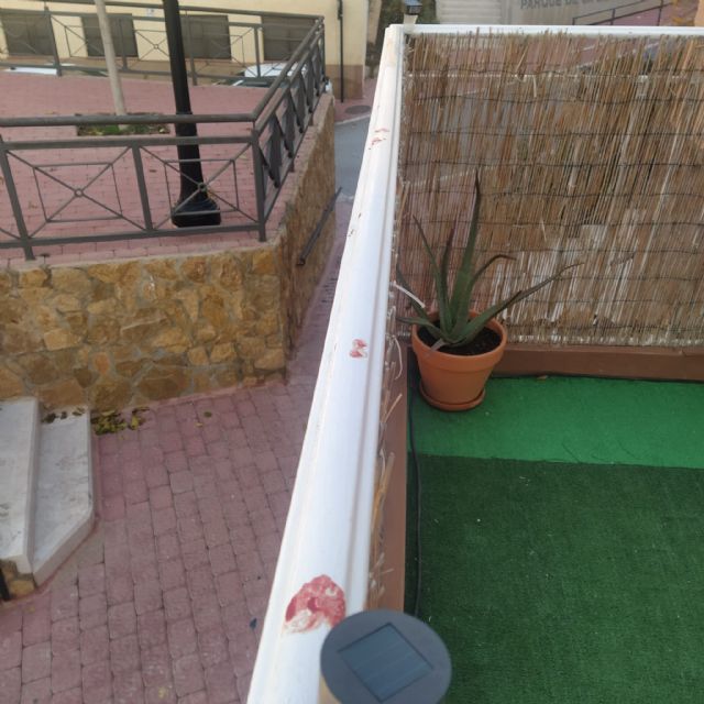 Roban en otros dos bares, el complejo deportivo Felipe VI, una vivienda familiar, la ornamentación navideña en Santa María y un local del centro de la ciudad - 4, Foto 4