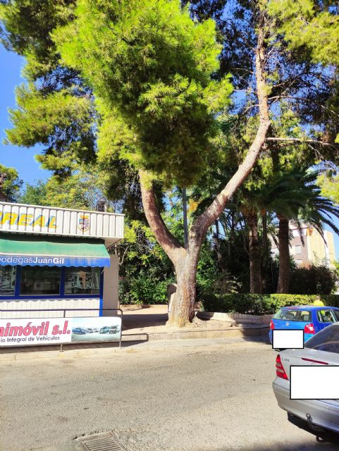 Un jardín histórico cada vez más artificial, menos aprovechable y que pierde el encanto - 5, Foto 5