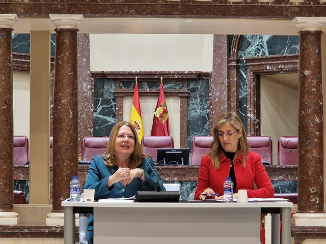 La Asamblea Regional hace balance: una Institución más cercana a la sociedad - 2, Foto 2