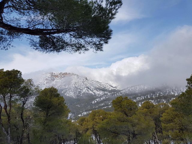 Puede accederse en vehículo hasta la Casa Forestal de las Alquerías, Foto 1