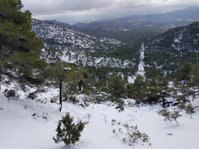 Puede accederse en vehículo hasta la Casa Forestal de las Alquerías, Foto 4