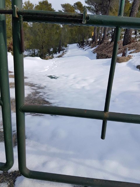Puede accederse en vehículo hasta la Casa Forestal de las Alquerías, Foto 6