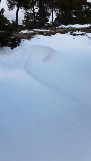 Puede accederse en vehículo hasta la Casa Forestal de las Alquerías, Foto 7