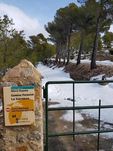 Puede accederse en vehículo hasta la Casa Forestal de las Alquerías, Foto 8