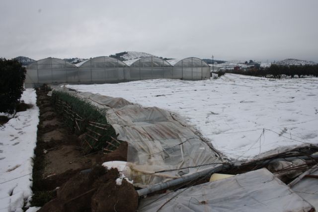 La Concejala de Agricultura visita las pedanías para hacer una valoración de los desperfectos causados por la intensa nevada de ayer - 2, Foto 2