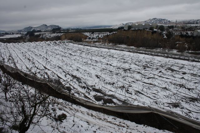 La Concejala de Agricultura visita las pedanías para hacer una valoración de los desperfectos causados por la intensa nevada de ayer - 4, Foto 4