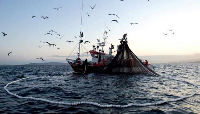 Agricultura concede cerca de 400.000 euros en ayudas del Fondo Europeo Martimo y de Pesca para 38 proyectos, Foto 1