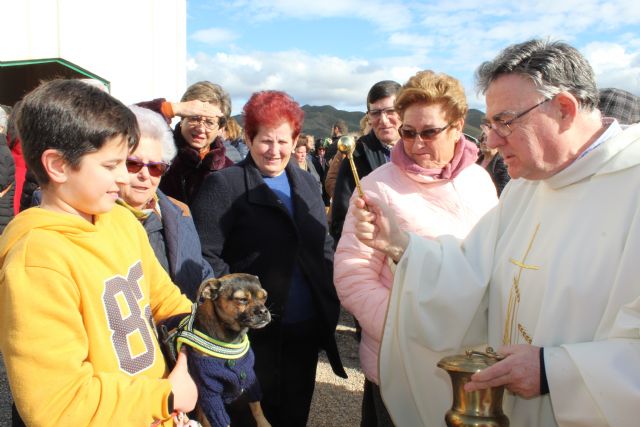 La pedanía de Tébar celebra las fiestas en honor a San Antonio Abad - 1, Foto 1