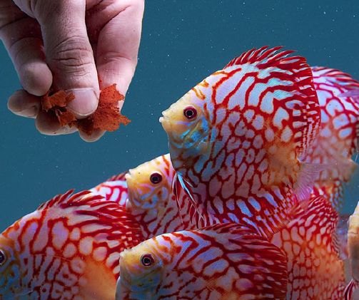 En el Valle de Trápaga como en la cuenca del Amazonas - 1, Foto 1