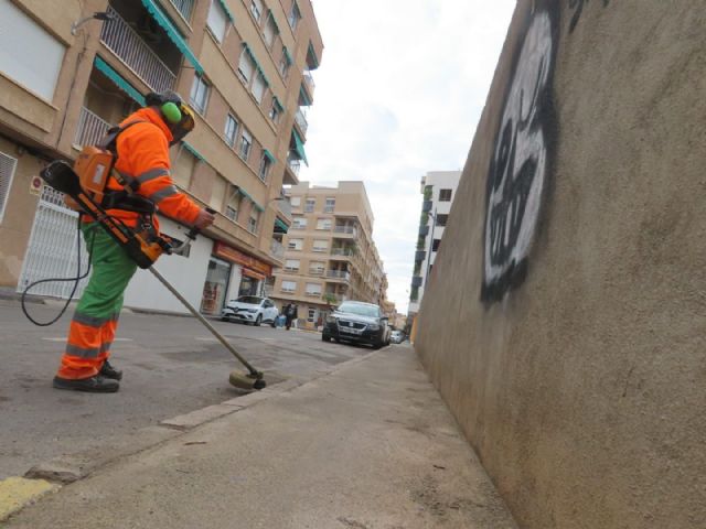 El Ayuntamiento lleva a cabo una actuación de limpieza en profundidad en la Huerta de Arriba - 5, Foto 5