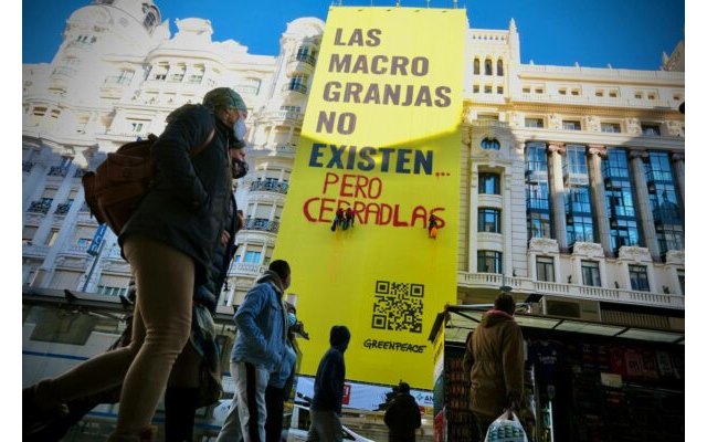 Greenpeace “trolea” su propia pancarta en Gran Vía para exigir el cierre de las macrogranjas - 1, Foto 1