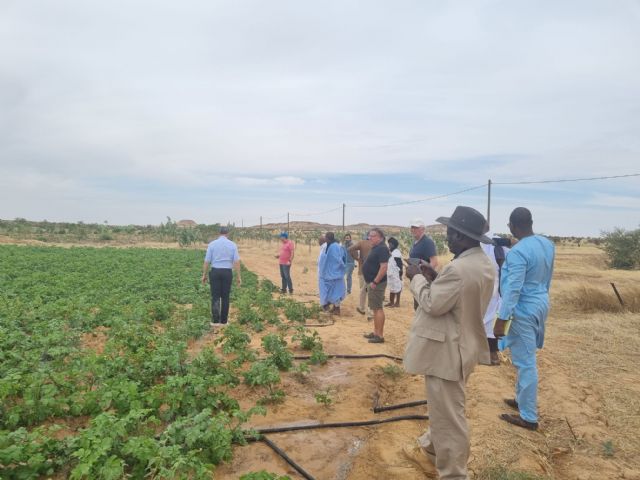 Empresas de la Región visitan posibles zonas de producción agrícola en Mauritania - 2, Foto 2