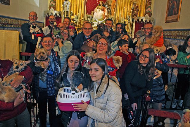 Bendición de animales en Sevilla por el día de San Antón en la Divina Pastora de Santa Marina - 4, Foto 4