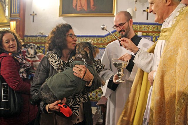 Bendición de animales en Sevilla por el día de San Antón en la Divina Pastora de Santa Marina - 5, Foto 5