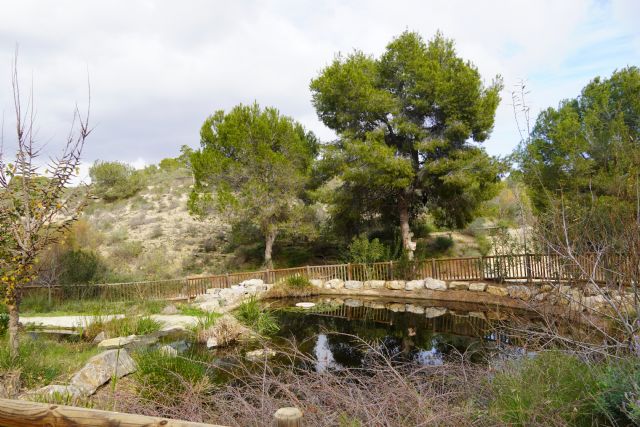 El Ayuntamiento de Jumilla conoce los proyectos de biodiversidad y desarrollo sostenible en Beniel y Rojales - 1, Foto 1