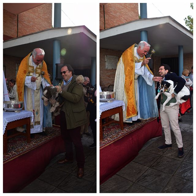Misa y Bendición en Pio XII: Un Encuentro Especial con San Antón y sus Fielesen Sevilla - 3, Foto 3